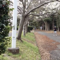 【練習会】４月のチャレンジャーズ®