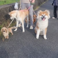 梅雨の合間に