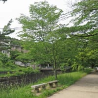 40　地下鉄蹴上駅から楼門の滝を経て大文字山　2024.05.20