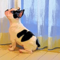 絵画モードで撮影した写真 オススメです
