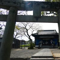 大宰府市の散策記　on　2025-4-9＆4-10　その10　坂本八幡宮