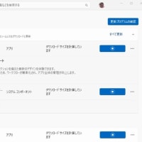 Microsoft 365 Copilot  19.2506.59011.0、HEVC ビデオ拡張機能 2.4.13.0 が降りてきました。