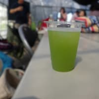 松葉をジュースにしていただく!?