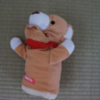 新しいもの好きです
