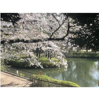 今日いち-2025年4月6日