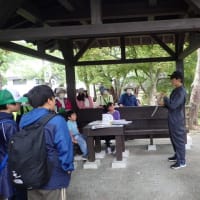 子どもが育つ自然体験～里山は子育て道場～