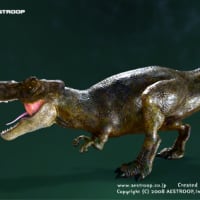T-Rex （ティラノサウルス） 5