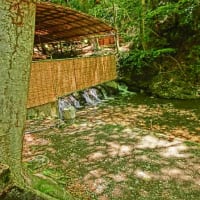 京都の奥座敷「貴船旅行」続き