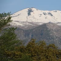 4人に1人がニセ情報を拡散ってどうよ？？？　信頼できるのはやっぱオールドメディアだったとは…By総務省