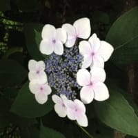 ちょうど上半期の「結び」となります。