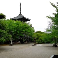 京都　青モミジに映える古寺　真如堂 
