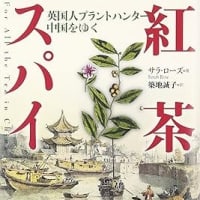 茶を世界に広めたプラントハンターの慧眼