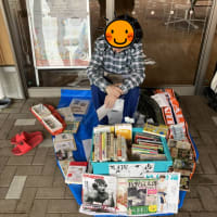 2025年春の箱写真