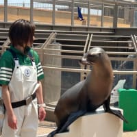 GWは茨城へ(アクアワールド水族館②)