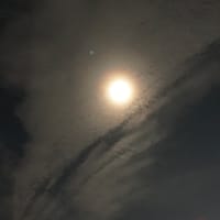 下弦の月が浮かぶ