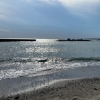 25.夏　海遊び！