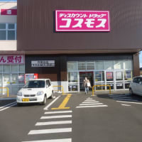 「ドラッグコスモス 大和田新田店出店」を事例に、流通のこれからを見通す　5