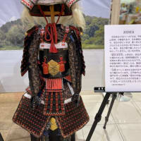 ロマン。