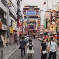 デジタルアナログ：横浜中華街でinstax palの撮影スタイルを探る