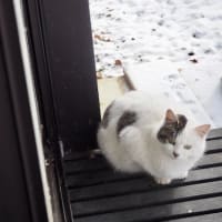 独りの真我、有りて