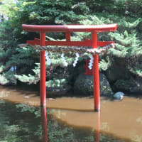 平塚八幡山散策～八幡宮・八幡山洋館・見附台公園
