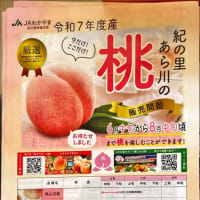桃の季節になりましたね　2025年