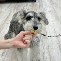 アイスキューブの試食会を開催しました！③