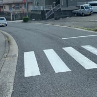 うさぎかと思ったらゴミだったー