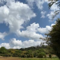 「ホキョケ（仏）」とさえずるウグイス