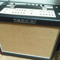 便利なアンプ TECH21 TRADEMARK10