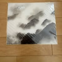 2025/05/28