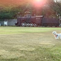 暑かった６月下旬と、春がすみ