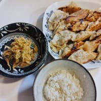 久々手作り餃子