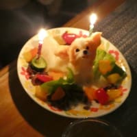 モンターニャでワンちゃんケーキ