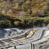 「紅葉の玉川温泉から抱...」