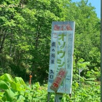 4135．ああ「オソウシ温泉　鹿乃湯荘」