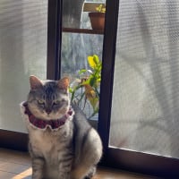 今日は寒いね！(E)