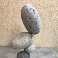 引っ越しました