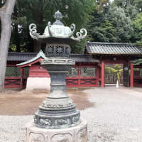根津神社 夏越しの大祓