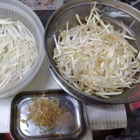 6月19日（木）急な暑さに体が適応できずにグロッキーです