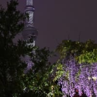 「４月の４枚」