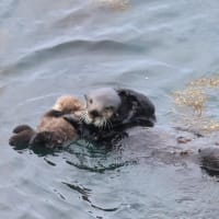 休憩中・・