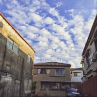 じれったい　“夜”　熱帯夜