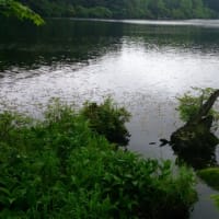 白駒池