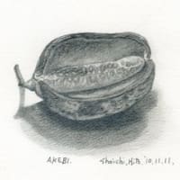 素描集　１