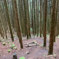 寧比曽岳登山
