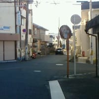 コスモタイガー漂走記～旧紀州街道編②～中編