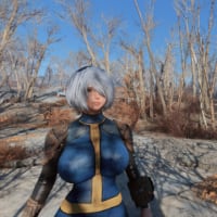 Fallout4で遊ぶ。FF11は休憩中。
