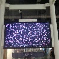 名古屋市科学館に行きました