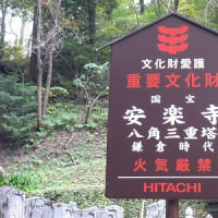 秋の信州
